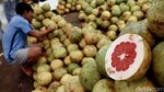 Geliat Pasar Induk Kramat Jati