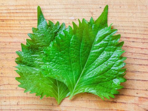 Unik, Gwyneth Paltrow Rilis Parfum Beraroma Rempah Jepang