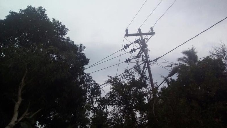 Kata PLN soal 2 Orang Tewas Tersetrum saat Cuaca Ekstrem di Pekanbaru Kata PLN soal 2 Orang Tewas Tersetrum saat Cuaca Ekstrem di Pekanbaru