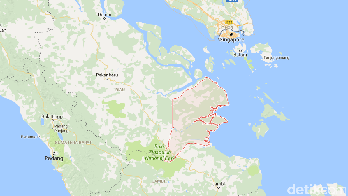 Sengketa Lahan 2 Keluarga Picu Bentrok Pekerja Sawit di Riau