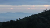 Udara di Puncak Sikunir cukup dingin. Kabut pun terlihat menutupi beberapa lokasi di kejauhan. Jangan sampai lupa pakai jaket tebal ya traveler (Randy/detikTravel)