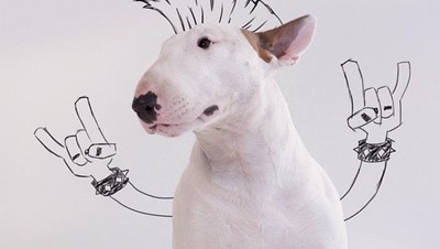 Lucu! Ular Berkacak Pinggang Hingga Anjing Bergaya Punk