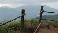 Bukit Sikunir ini cukup aman bagi traveler karena ada pagar pembatasnya. Tapi tetap hati-hati ya, pakai sepatu yang aman, jangan sandal yang licin (Randy/detikTravel)