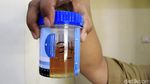 400 PNS Pemkab Bandung Tes Urine