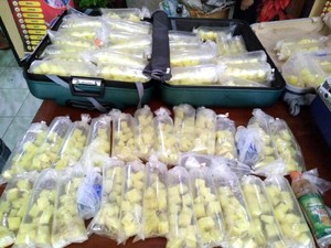 Polres Sukabumi Gagalkan Penyelundupan Puluhan Ribu Bayi Lobster