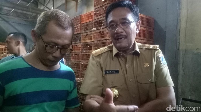 Agenda Terakhir Sebelum Nyoblos, Djarot Cek Tempat Pemotongan Ayam