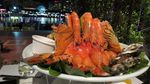 Darling Harbour di Sydney yang Penuh Kejutan