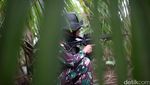 Derap Tentara Penjaga Perbatasan