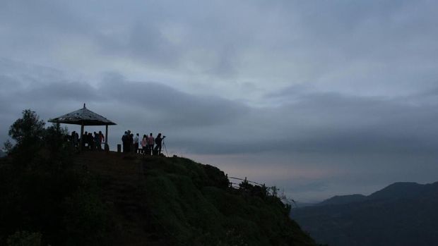 Bukit Sikunir yang tertutup awan (Randy/detikTravel)