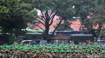 TNI Polri Siap Amankan Pilgub DKI Jakarta