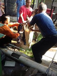 Ular sanca berhasil ditangkap dan dimasukkan ke karung