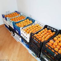 Jadi Fruitarian, Wanita Ini Akui Jerawat Hilang dan Migrainnya Sembuh