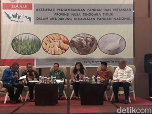 Bupati Lamongan Bicara Jagung di Seminar Pangan Nasional
