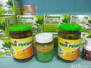 Purwaceng, Rahasia Vitalitas Pria Dieng