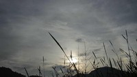 Foto: Tempat ini juga cocok sekali untuk menikmati sunrise. Suasana pagi terasa syahdu (Randy/detikTravel)