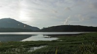 Foto: Telaga Dringo yang terletak di Banjarnegara, tidak jauh dari komplek Candi Arjuna di Dieng. Sekilas melihat, bentuk telaganya memang tidak jauh beda dengan Ranu Kumbolo di Semeru (Randy/detikTravel)