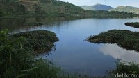 Menuju Puncak Sikunir, wisatawan disuguhi pemandangan alam lainnya yaitu Telaga Cebong. Diberi mama cebong karena bentuknya menyerupai bayi katak. Foto: (Johanes Randy/detikTravel)