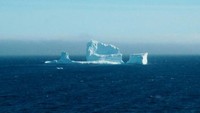 Menurut Canadian Ice Service, gunung es itu tergolong dalam kategori besar. Berarti tingginya antara 46-73 meter dan panjangnya 122-185 meter (Jody Martin/Reuters)