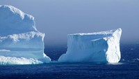 Gunung es ini biasanya memang muncul di lautan sekitar Ferryland pada musim semi hingga akhir musim panas. Asalnya dari kawasan Arktik (Jody Martin/Reuters)