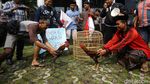 Sabung Ayam Jago KPK vs Setnov