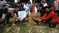 Ayam jago KPK dan ayam jago Setnov diadu di depan gedung KPK, Jumat (21/4/2017).