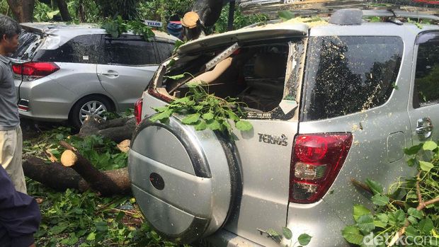 Pohon tumbang menimpa 5 mobil.