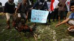 Sabung Ayam Jago KPK vs Setnov