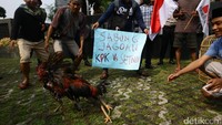 Ayam jago itu bertarung di tengah-tengah massa aksi.