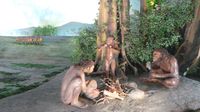 Display kehidupan manusia purba di Museum Sangiran
