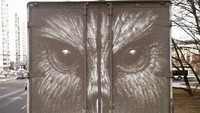 Burung hantu seolah menatap pengendara di belakangnya. Foto: My Modern Met