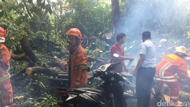 Sejumlah motor juga tertimpa pohon.