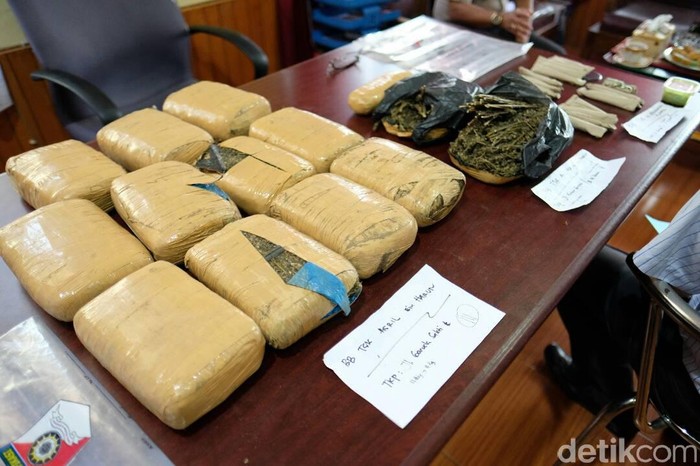 Edarkan Ganja 12 Kg, 2 Mahasiswa Ditangkap Polisi