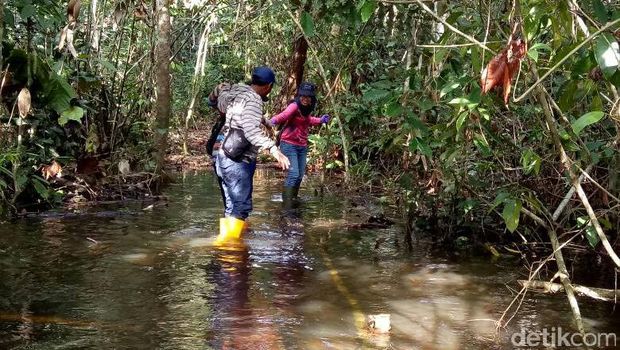 Garap Proyek 35 Ribu MW, Perempuan Ini Keluar Masuk Hutan Kalimantan