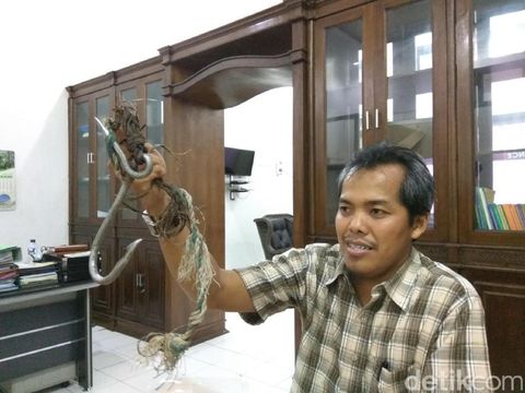 Warga Aceh Singkil Pancing Buaya 5 Meter, Kini Diamankan BKSDA