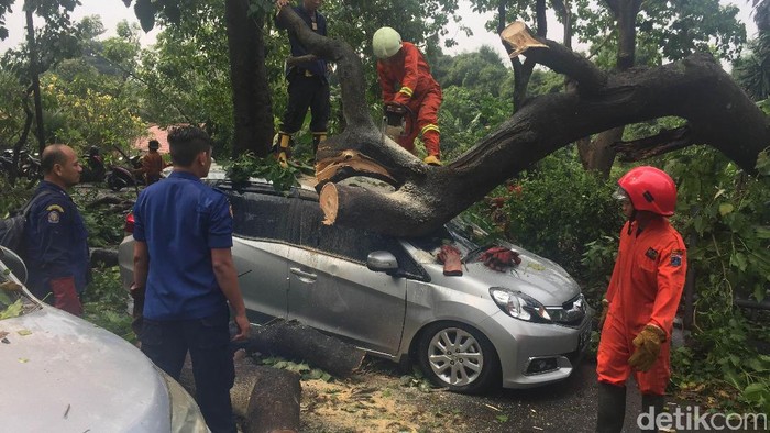 5 Unit Mobil dan Sejumlah Motor Tertimpa Pohon Tumbang di Jaktim