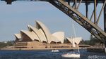 Keliling Sydney Tapi Naik Cruise, Bisa!