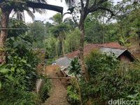 Suasana Kampung