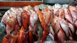 Nyam! Sedapnya Wisata Kuliner Ikan Kakatua di Pasar Malam Kupang