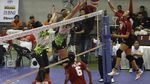 Jakarta Elektrik PLN Juara Proliga 2017