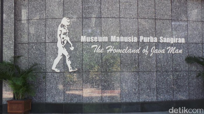 Museum manusia purba Sangiran Museum manusia purba Sangiran
