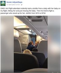 Heboh di Medsos, Pramugara American Airlines Kasari Ibu dan Bayinya