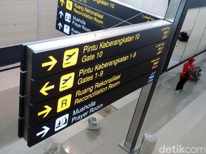 Harga Tiket Pesawat Turun, Ini Syarat dan Ketentuannya