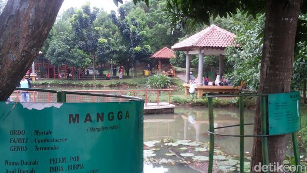 Melihat Lembah Gurame Taman Favorit Warga Depok