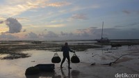 Traveler juga bisa mendapati kesibukan nelayan di sekitar pantai. Momen yang wajib untuk dilihat (Melisa/detikTravel)