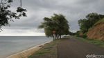Hidden Destination Atambua: Pantai Teluk Gurita