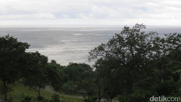 Bukit Teluk Gurita (Fitraya/detikTravel)