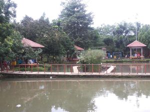 Pemkot Depok Akan Hidupkan Kembali 4 Situ: Demi Warisan Anak-Cucu
