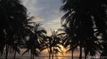 Alamak! Bukan Main Indahnya Pantai Nembrala di Rote