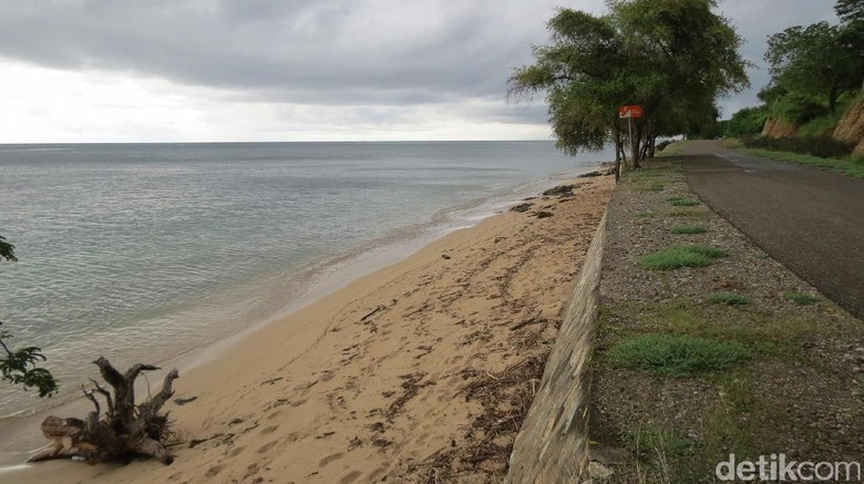 Pantai Teluk Gurita yang indah tapi sepi (Fitraya/detikTravel) Pantai Teluk Gurita yang indah tapi sepi (Fitraya/detikTravel)