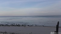 Suasana syahdu dan tenang di Pantai Nembrala, Rote. Pantai pasir putih dan laut biru bener-benar membuat hati damai (Melisa/detikTravel)